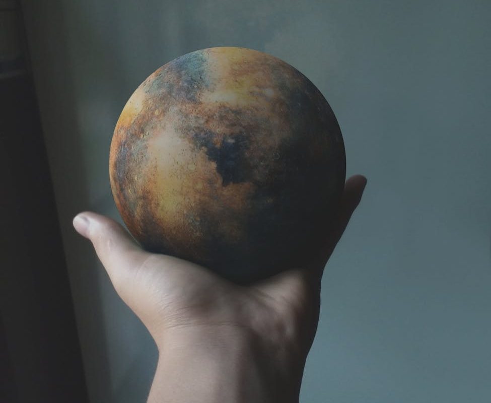 round brown and black ornament