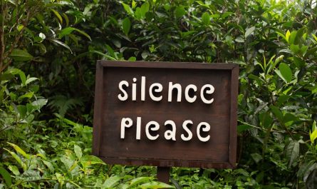 wooden sign in the middle of tea plants