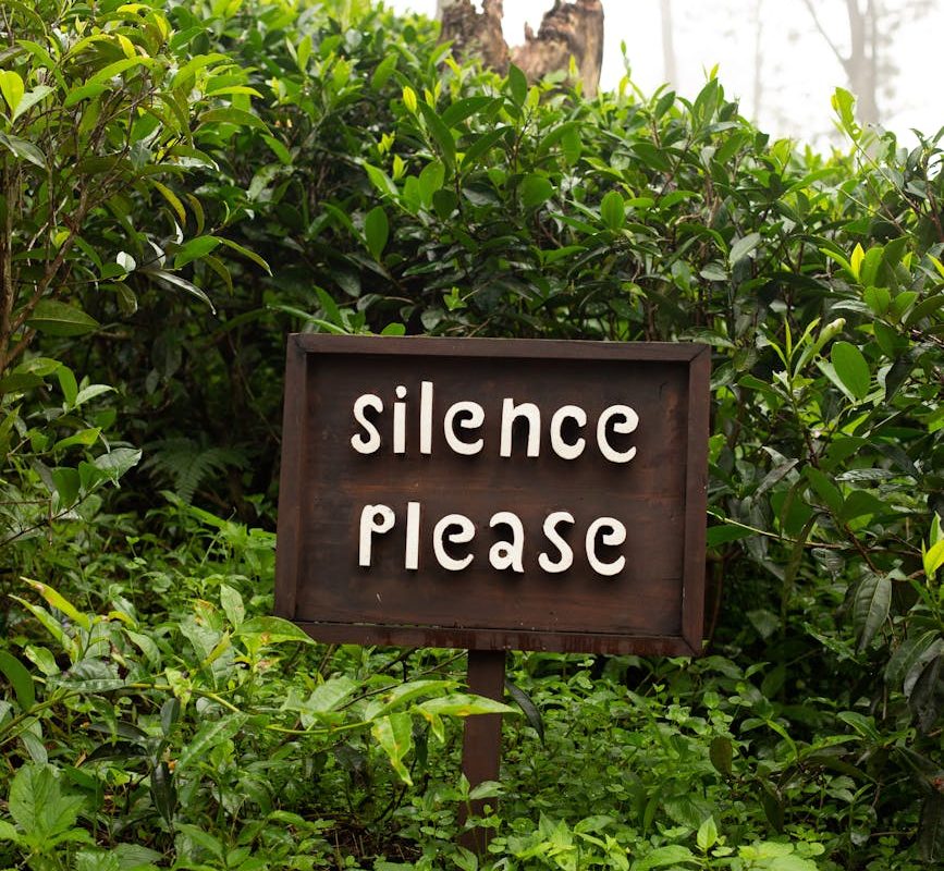 wooden sign in the middle of tea plants