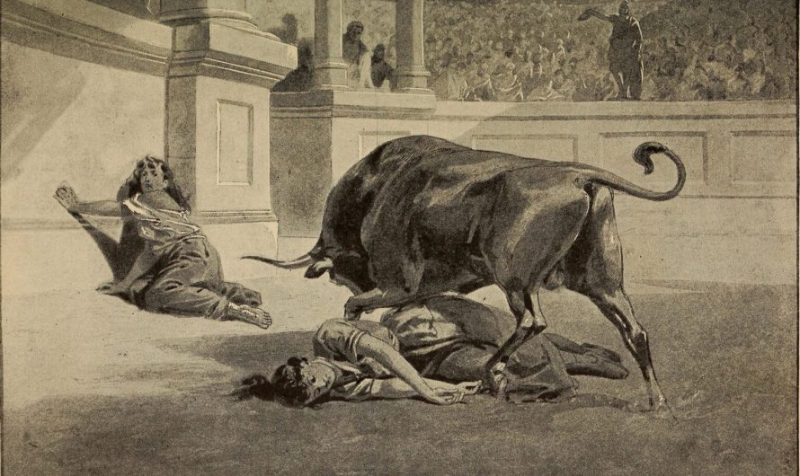 Perpetua: A mother faces martyrdom with courage and joy